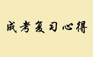 2024年山東成人高考英語復(fù)習(xí)心得總結(jié)