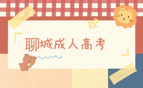 聊城成人高考報(bào)名