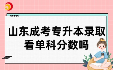 山東成考專(zhuān)升本錄取看單科分?jǐn)?shù)嗎
